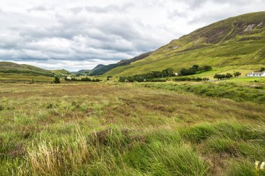 Bu bir çayır Donegal İrlanda bir vadide bir resmi vardır