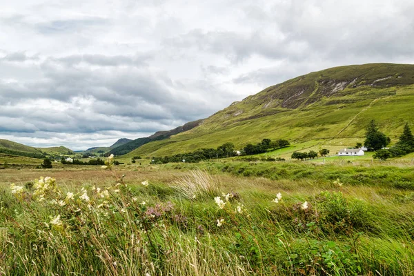 Picture Meadow Valley Donegal Ireland — Stock Photo, Image