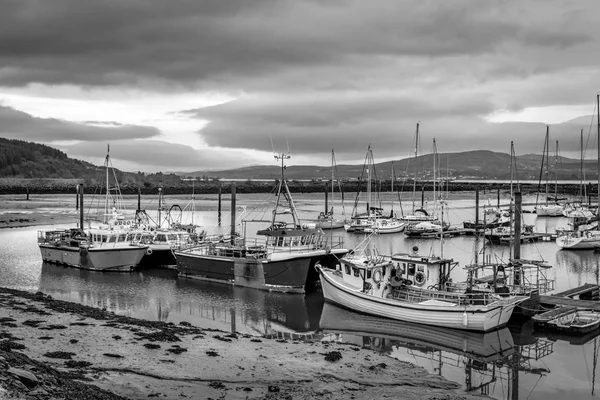 Fishing Boats Harbour Ireland — Stock Photo, Image