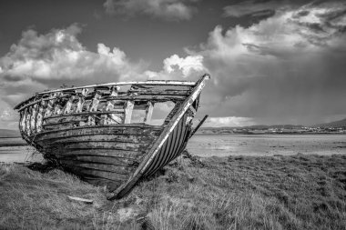 Ahşap bir teknenin Gövde Kökleme