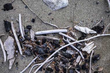 kumlu sahilde doğal enkaz