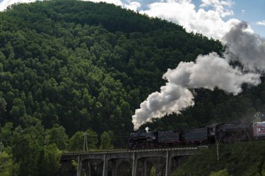 Eski Sibirya Demiryolu üzerinde hareket lokomotif Buhar