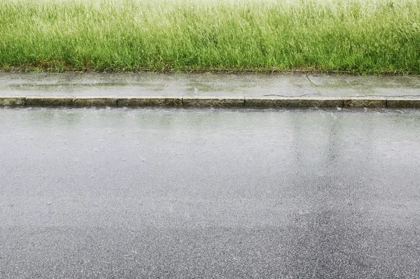 Street, Sidewalk And Grass In The Rain