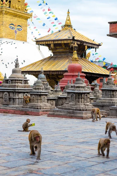 加德满都 尼泊尔 2018年7月15日 关于建筑细节和猴子寺庙 Swayambhunath 宝塔建筑群 一个教科文组织的遗产遗址和佛教徒崇拜的重要场所的看法 — 图库照片