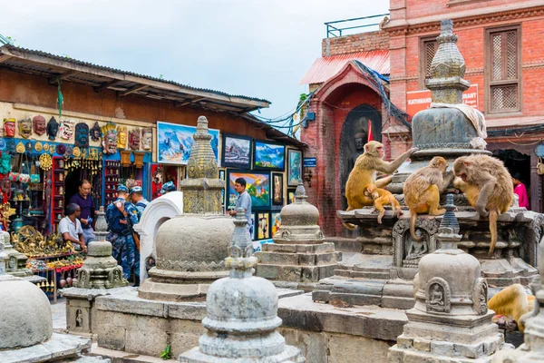 Kathmandu Nepal July 2018 View Architectural Details Monkeys Monkey Temple — Stock Photo, Image