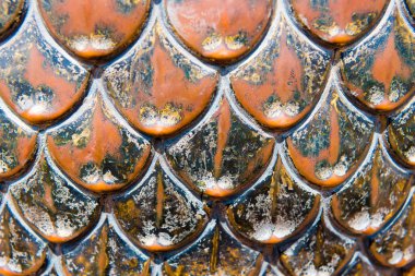 Bhaktapur, Nepal - 16 Temmuz 2018: Bhatktapur, bölgenin Sarayı avlu ve Nepal, aynı zamanda Unesco Dünya Mirası alanı eski şehir merkezinde ünlü geleneksel metal ayrıntılarına yakın çekim