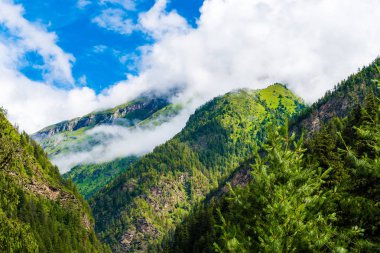 Doğa ve bakış açısı Annapurna koruma alanı, bir sıcak nokta hedef dağcıların Nepal'ın en büyük koruma alani.