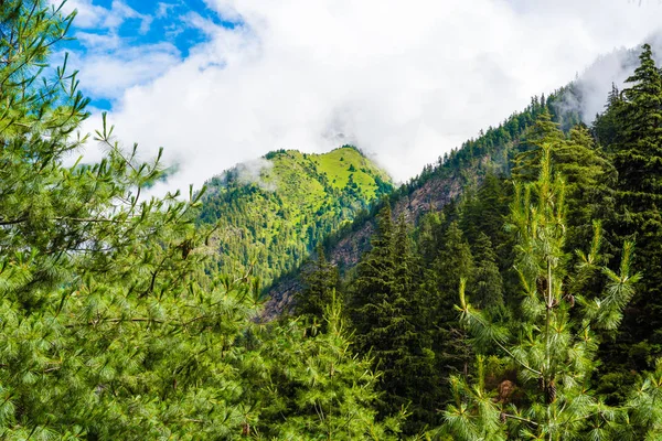 Nature view in Annapurna Conservation Area, a hotspot destination for mountaineers and Nepal\'s largest protected area.