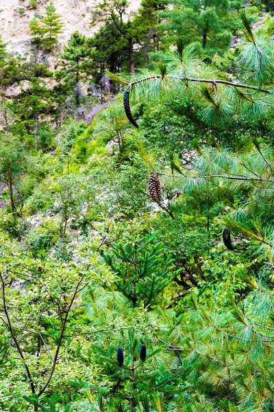 Nature view in Annapurna Conservation Area, a hotspot destination for mountaineers and Nepal\'s largest protected area.