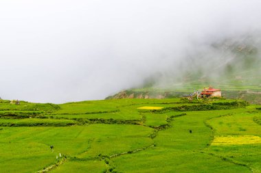 Yeşil alanlar ve geleneksel mimarisi Antik Tibet Nar Köyü, Annapurna koruma alanı, Nepal, teraslı