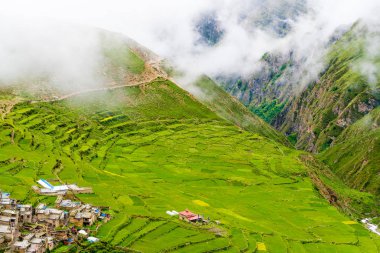 Yeşil alanlar ve geleneksel mimarisi Antik Tibet Nar Köyü, Annapurna koruma alanı, Nepal, teraslı