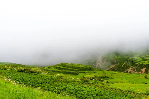 Verde Com Terraços Campos Nar Vila Área Annapurna Nepal — Fotografia de Stock