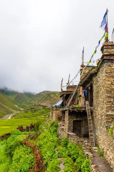 Nar Village Annapurna Conservation Area Nepal July 2018 Green Terraced — Stock Photo, Image