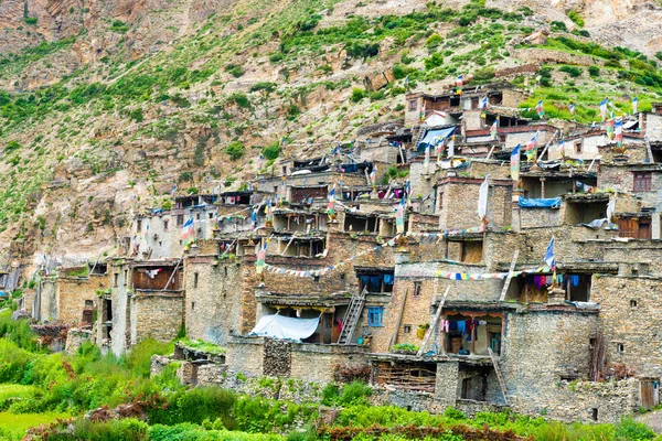 Nar Village Annapurna Conservation Area Nepal Julho 2018 Campos Terraços — Fotografia de Stock