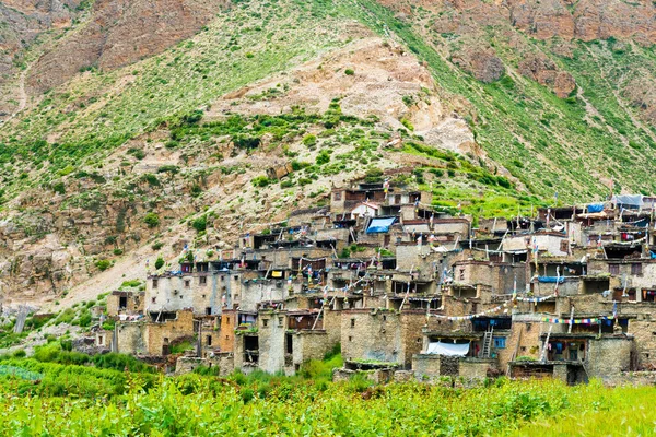 Nar Village Annapurna Conservation Area Nepal Julho 2018 Campos Terraços — Fotografia de Stock