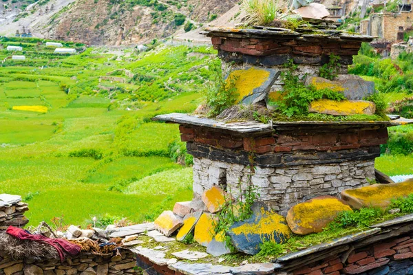 Nar Village Annapurna Conservation Área Nepal Julio 2018 Campos Verdes — Foto de Stock