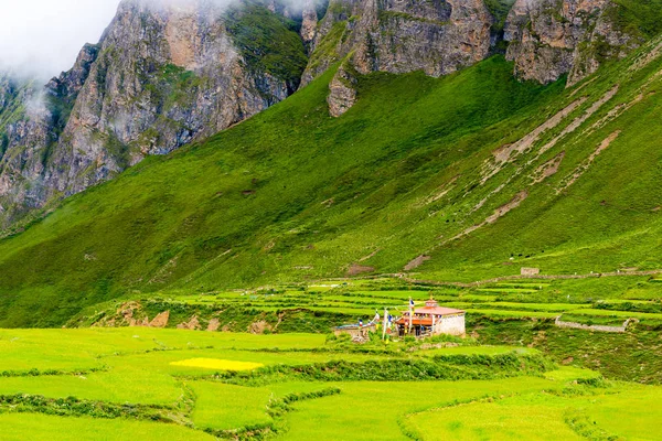 Campos Terraços Verdes Arquitetura Tradicional Antiga Aldeia Nar Tibetana Área — Fotografia de Stock