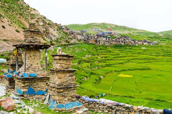 Nar Dorf Annapurna Schutzgebiet Nepal Juli 2018 Grüne Terrassenfelder Und — Stockfoto