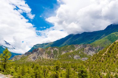 Doğa ve bakış açısı Annapurna koruma alanı, bir sıcak nokta hedef dağcıların Nepal'ın en büyük koruma alani.