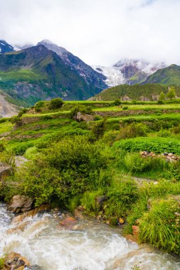 Doğa ve bakış açısı Annapurna koruma alanı, bir sıcak nokta hedef dağcıların Nepal'ın en büyük koruma alani.