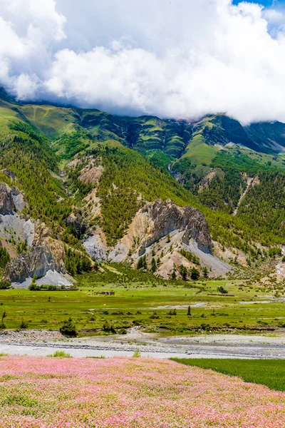 Naturen Annapurna Conservation Area Hotspot Destination För Bergsklättrare Och Nepals — Stockfoto