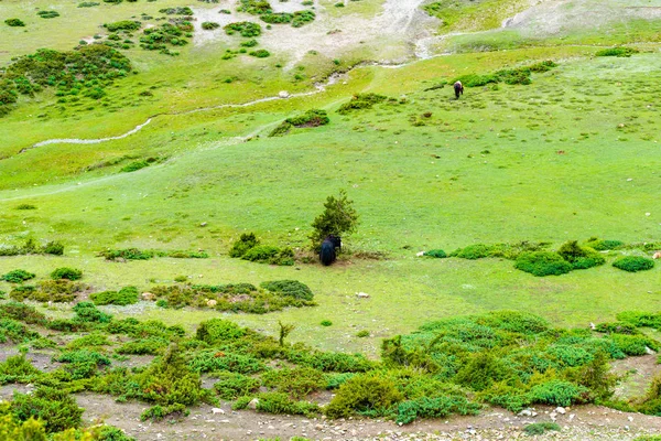 Doğa Bakış Açısı Annapurna Koruma Alanı Bir Sıcak Nokta Hedef — Stok fotoğraf