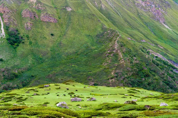 Nature view in Annapurna Conservation Area, a hotspot destination for mountaineers and Nepal's largest protected area.