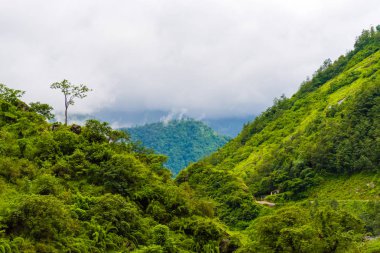 Doğa ve bakış açısı Annapurna koruma alanı, bir sıcak nokta hedef dağcıların Nepal'ın en büyük koruma alani.