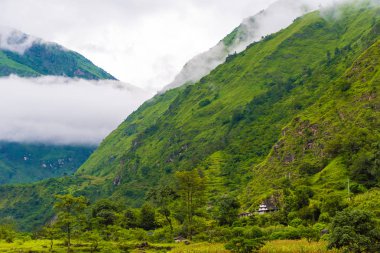 Doğa ve bakış açısı Annapurna koruma alanı, bir sıcak nokta hedef dağcıların Nepal'ın en büyük koruma alani.