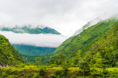 Doğa ve bakış açısı Annapurna koruma alanı, bir sıcak nokta hedef dağcıların Nepal'ın en büyük koruma alani.