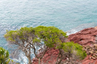 Deniz kırmızı katlanmış kayalar Ben Boyd Milli Parkı'nda, Nsw, Avustralya