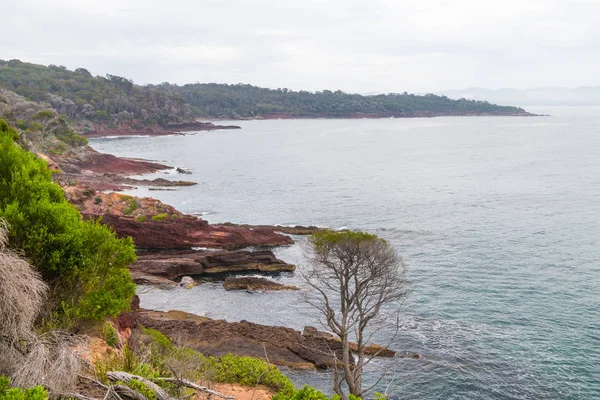 Marine Red Folded Rocks Ben Boyd Nationalpark Nsw Australien — Stockfoto