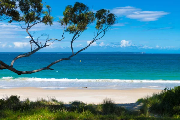 Zobacz Woda Mieście Huskisson Nsw Australia Małej Nadmorskiej Miejscowości Znane — Zdjęcie stockowe