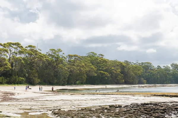 Huskisson Nsw Australia Dicembre 2018 Vista Sulla Spiaggia Nel Jervis — Foto Stock