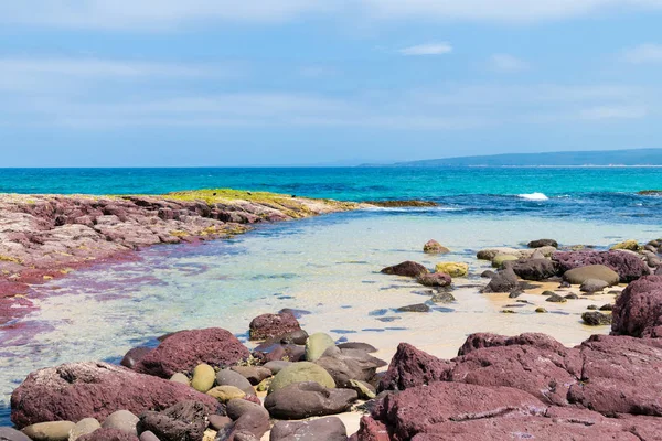 View Rocky Coastline Heycock Point Known Whale Watching Scenic Coastal — Stock Photo, Image