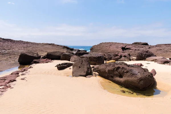 View Rocky Coastline Heycock Point Known Whale Watching Scenic Coastal — Stock Photo, Image