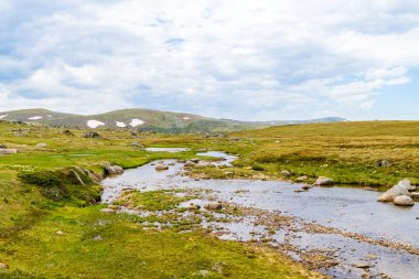 Kosciuszko Milli Parkı 'nda Snowy Nehri manzarası, NSW, Avustralya. Bitkiler ve bitki örtüsü ile doğa arka plan.