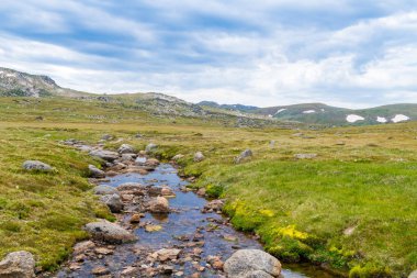 Kosciuszko Milli Parkı 'nda Snowy Nehri manzarası, NSW, Avustralya. Bitkiler ve bitki örtüsü ile doğa arka plan.