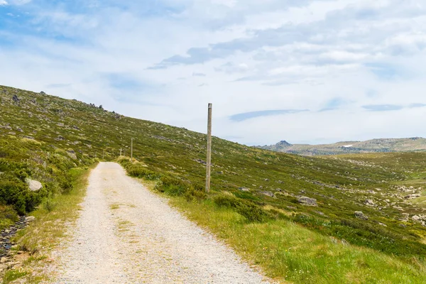 Pěší trať na vrchol Kosciuszko, v národním parku Kosciuszko, v Austrálii. Přírodní pozadí s rostlinami a vegetací. — Stock fotografie