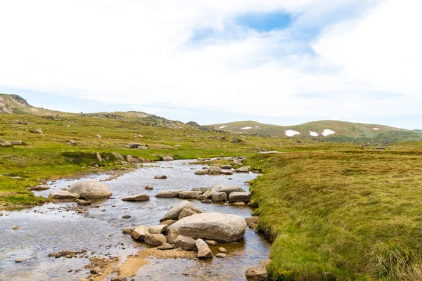 Widok na Snowy rzekę w parku narodowym Kosciuszko, NSW, Australia. Tło przyrodnicze z roślinami i roślinnością. — Zdjęcie stockowe