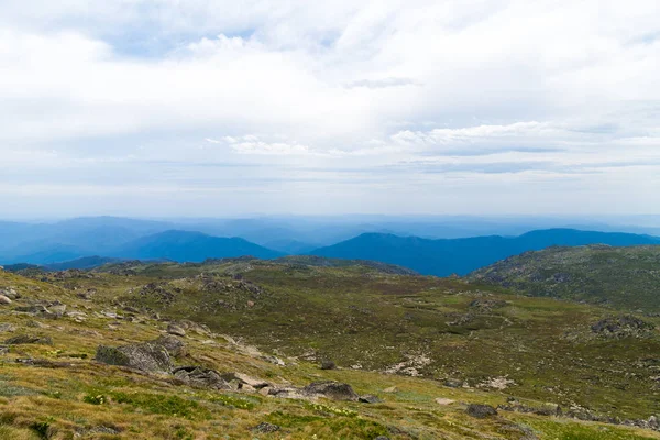 Native Australian vegetation i Kosciuszko National Park, NSW, Australien. Natur bakgrund med växter och vegetation. — Stockfoto