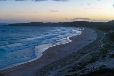 Sahilde offroad arabaları. Sugarloaf Point Seal Rocks deniz fenerinden görünüm, Myall Lakes Ulusal Parkı, Yeni Güney Galler, Avustralya