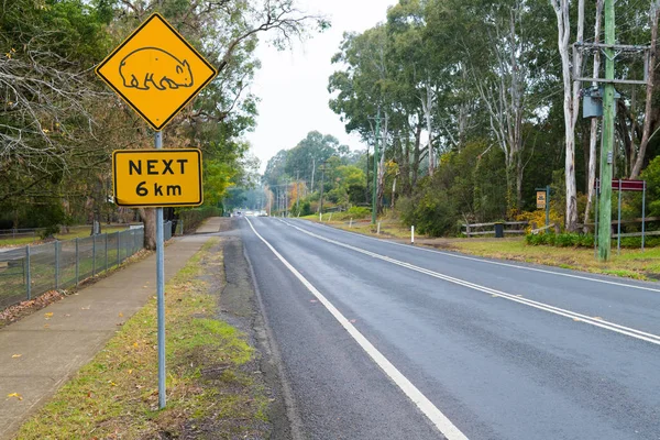 View over the traffic road and wombat yellow road sign in Kangaroo Valley, a charming village known for its historic bridge, tea rooms and pies, golf and wine tasting. — Stock Photo, Image