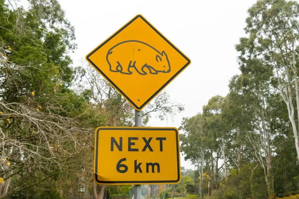 Vista sobre la carretera de tráfico y wombat señal de tráfico amarillo en Australia —  Fotos de Stock