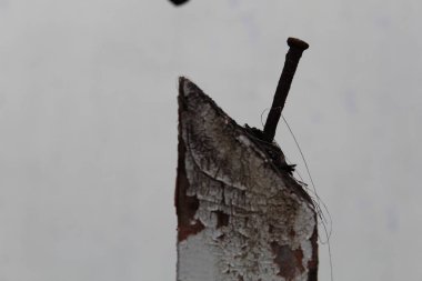 Bulanık bir arka planda aşınmış bir tahta parçası.