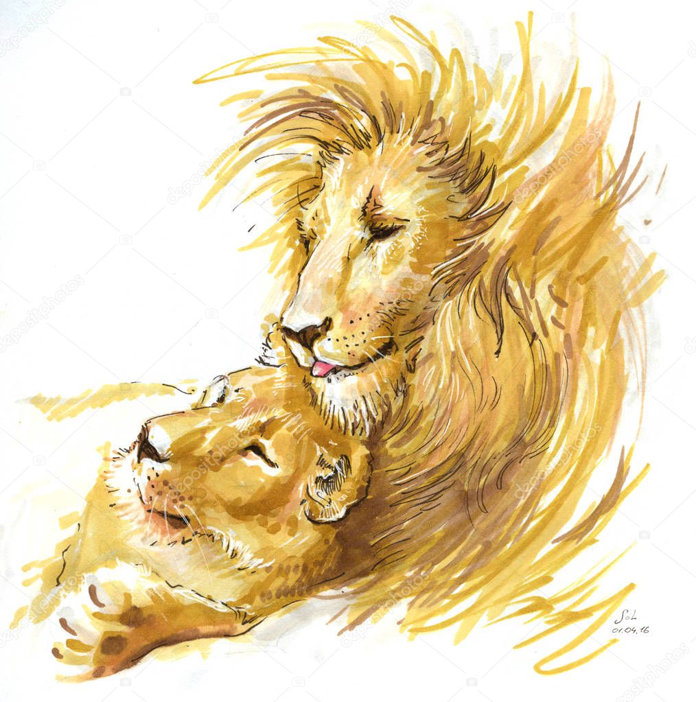 lions couple in love