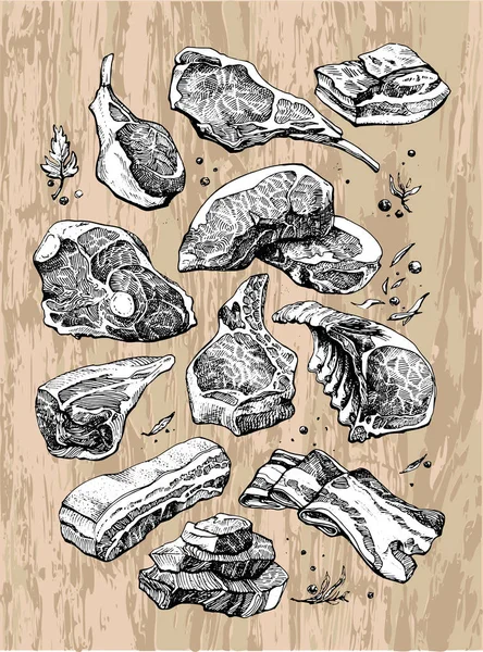 Heerlijke tekening van verschillende soorten en stukken vlees — Stockvector