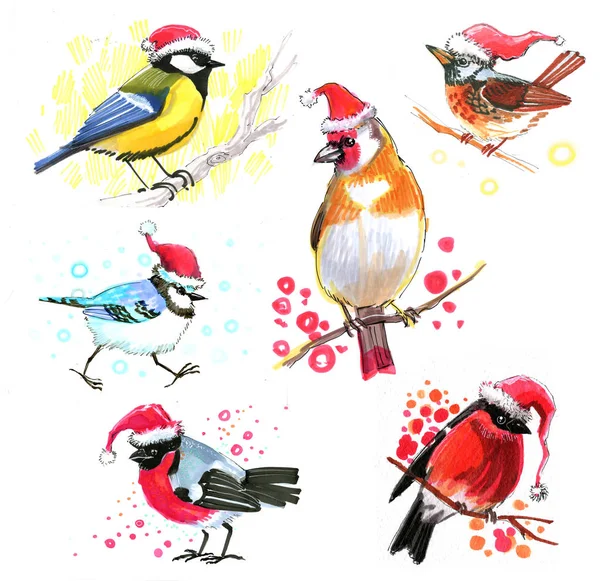 Colored birdies in Christmas hats drawn with a marker sketch — Stock Photo, Image