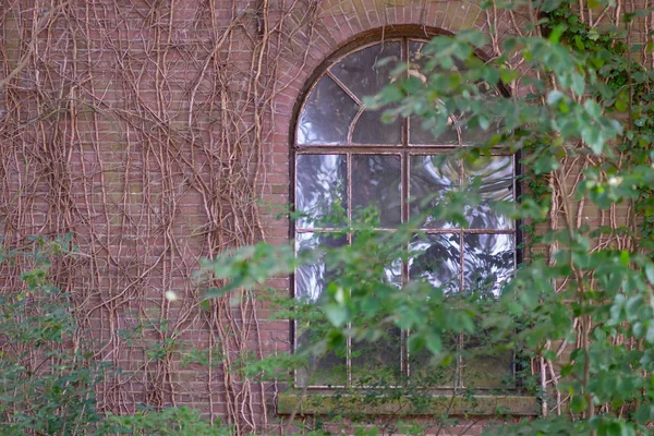 Stary Mur Cegły Okna Opuszczony Dom — Zdjęcie stockowe