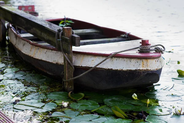 Barco Canal Metal Oldl Com Flores Lírio Frente — Fotografia de Stock